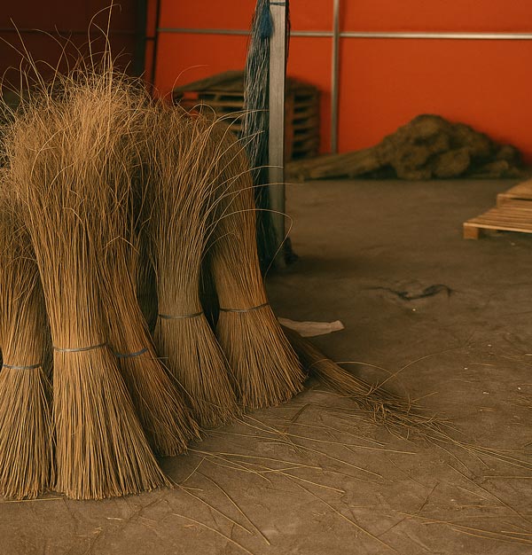 indonesia palm broomstick supplier & exportir